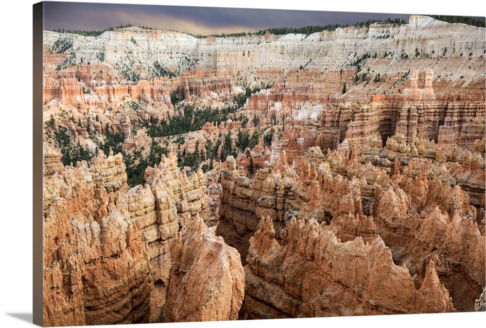 Deep crevices and tall hoodoo rock formations in Bryce Canyon Amphitheater, Bryce Canyon National Park, Utah.