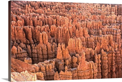 Stunning hoodoo rock formations in Bryce Canyon Amphitheater, Utah
