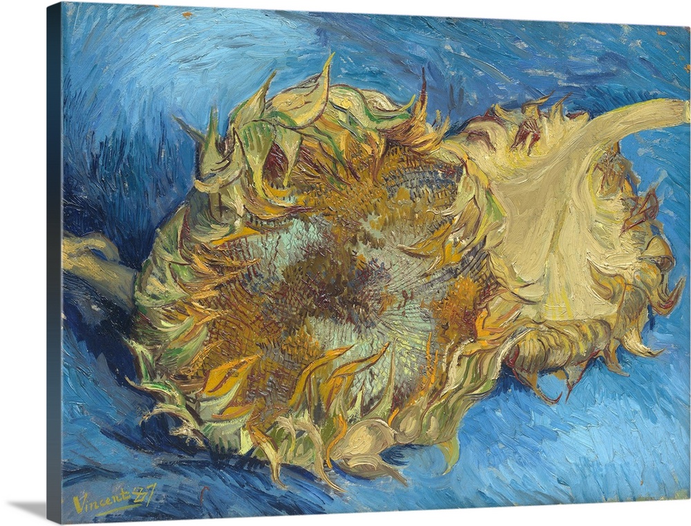 Van Gogh painted four still lifes of sunflowers in Paris in late summer 1887. There is an oil sketch for this picture (Van...