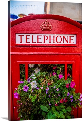 Telephone Booth And Flowers, Bath, England