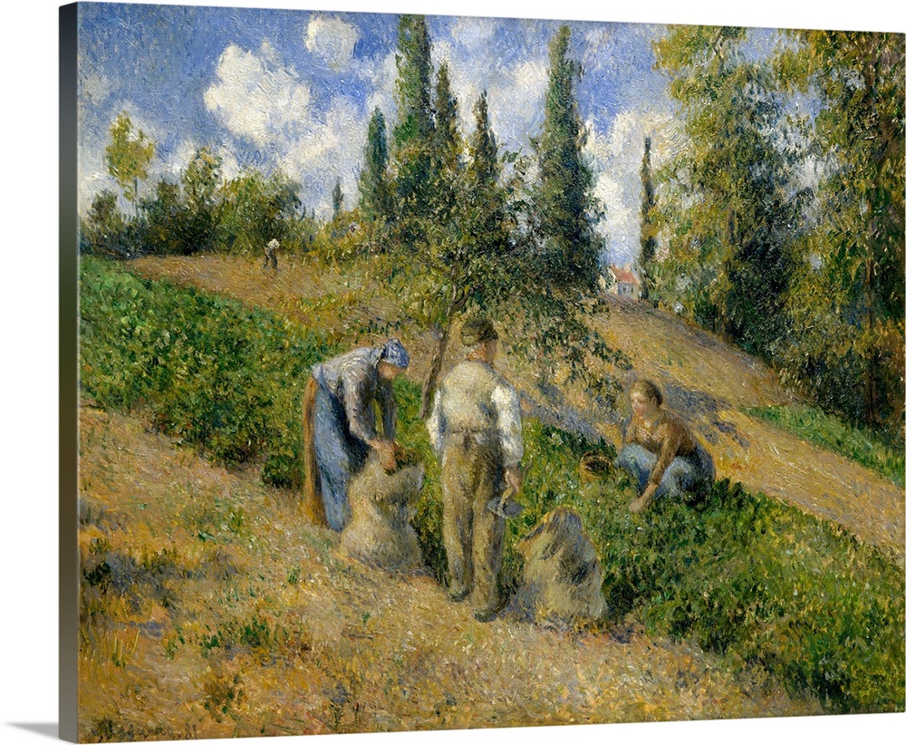 The theme of potato gathering recurs in Pissarro's oeuvre in a number of media-pencil, gouache, oil, and prints-over a per...