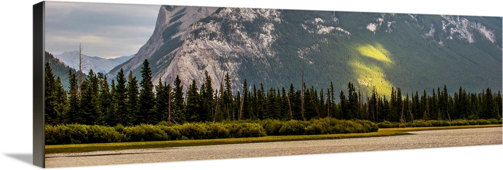 Trees line the edge of Vermilion Lakes in Banff National Park, Alberta, Canada.