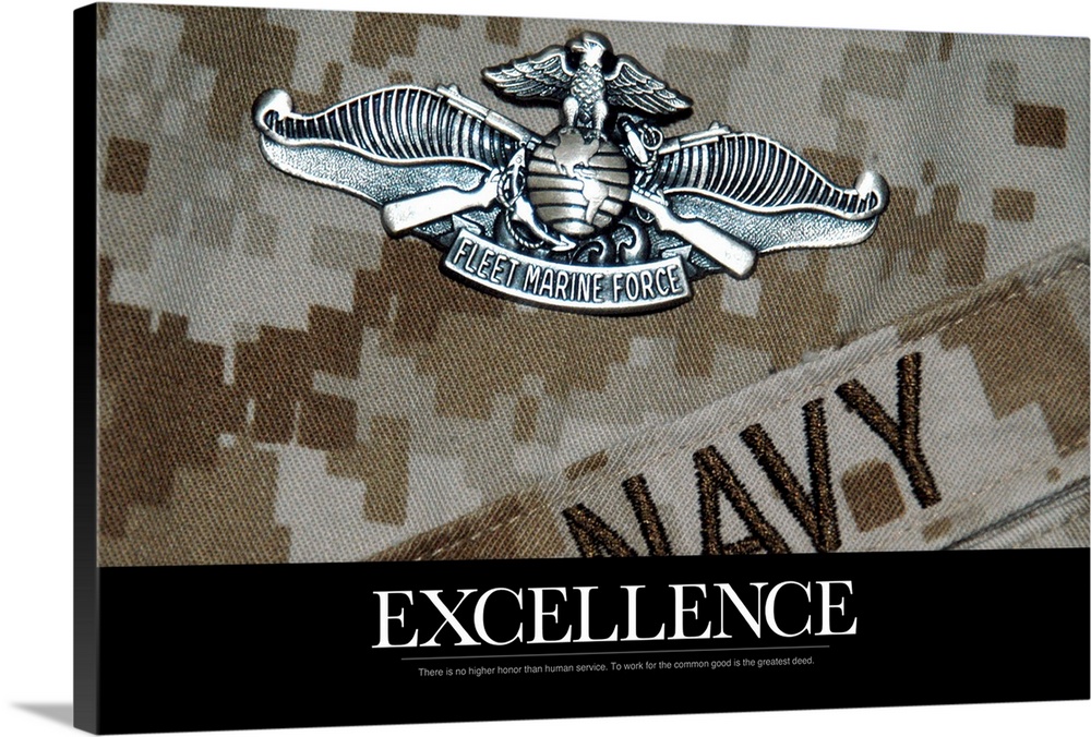 Inspirational message about excellence underneath a close up of a Navy military uniform and a silver Fleet Marine Force pin.