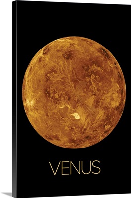 Venus I