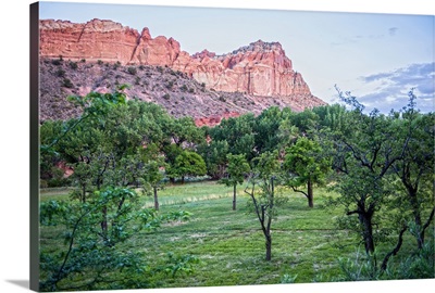 View of Capitol Reef Rock Ridges from Orchards, Capitol Reef National Park
