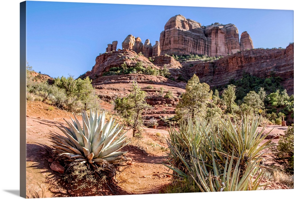 View of Cathedral Rock from Templeton Trail in Sedona, Arizona.