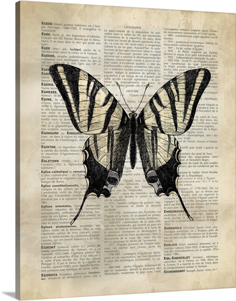 Vintage Dictionary Art: Butterfly 2