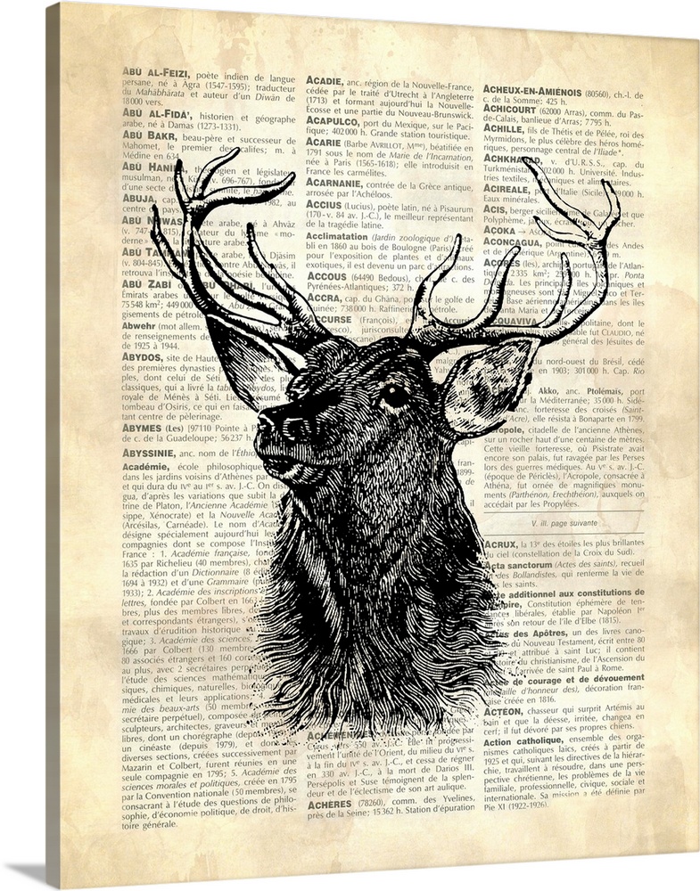 Dictionary Encyclopedia Art vintage A3 Nature art Book page Stag Head Print