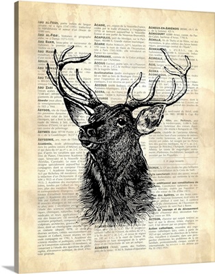 Vintage Dictionary Art: Deer
