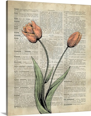 Vintage Dictionary Art: Tulips