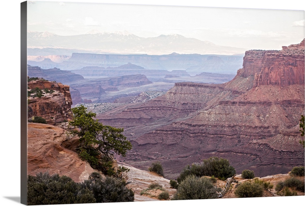 View of the red sandstone cliffs, with visible sediment lines in the eroded rock, Canyonlands National Park, Moab, Utah.