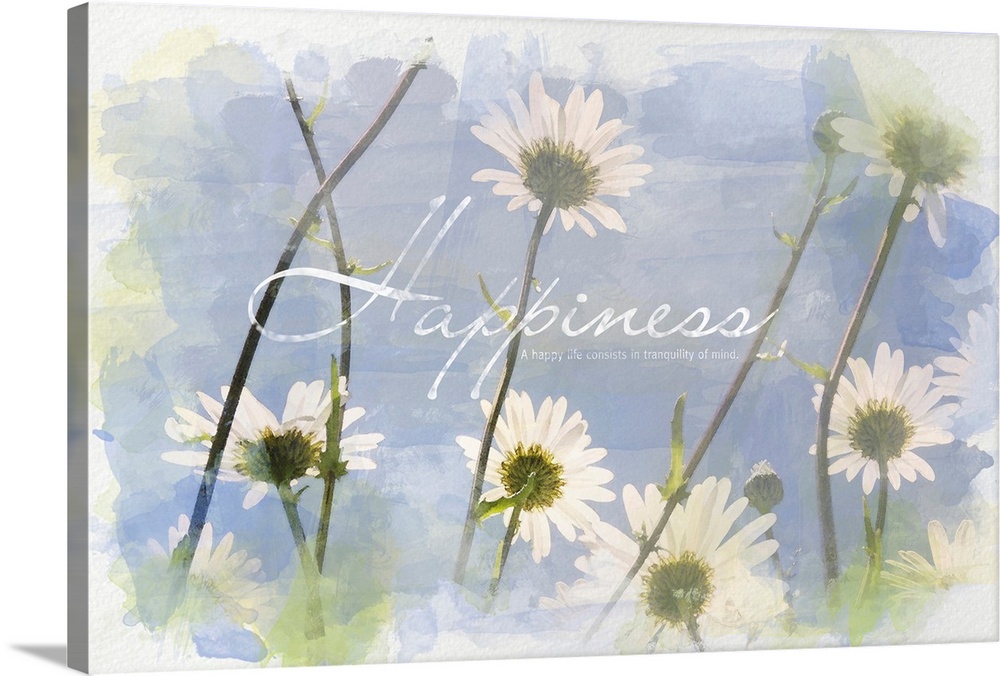 Horizontal home art docor on a big canvas of the underside of many daisies against a blue sky background, with roughly pai...