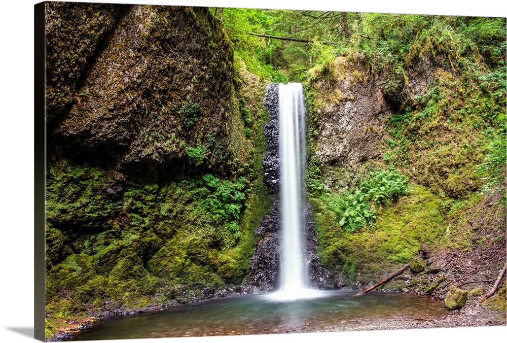 View of Wiesendanger Falls in Portland, Oregon.