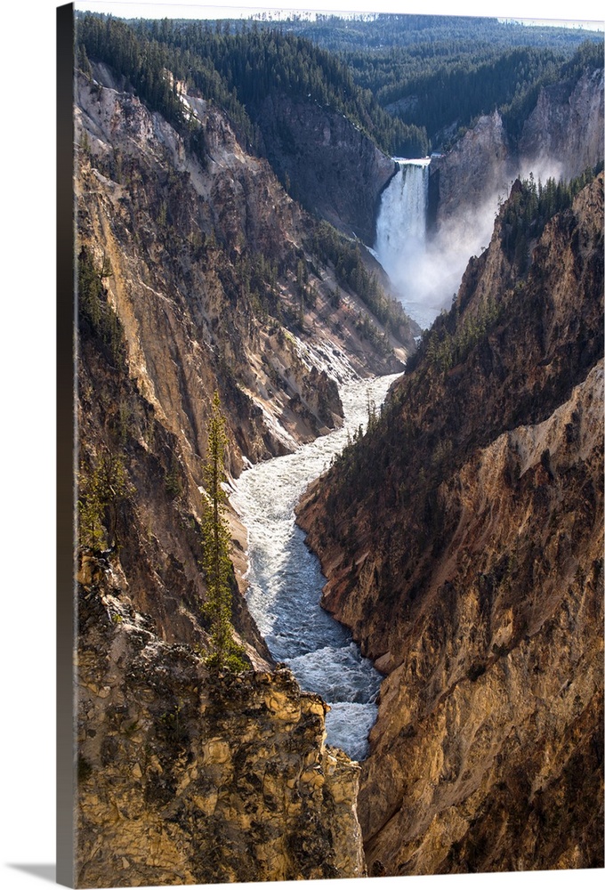 View of Winding Yellowstone River with Lower Falls in the background at Yellowstone National Park, Wyoming.