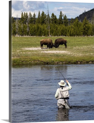 Yellowstone Fishing