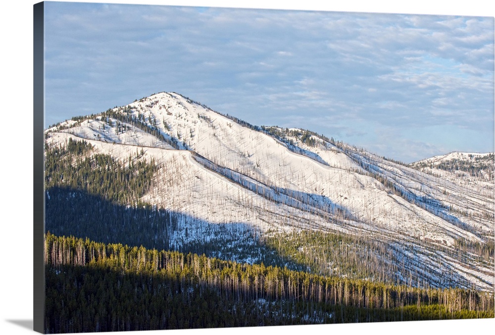Snow-covered mountains and lush forests are located at Yellowstone National Park in Wyoming.