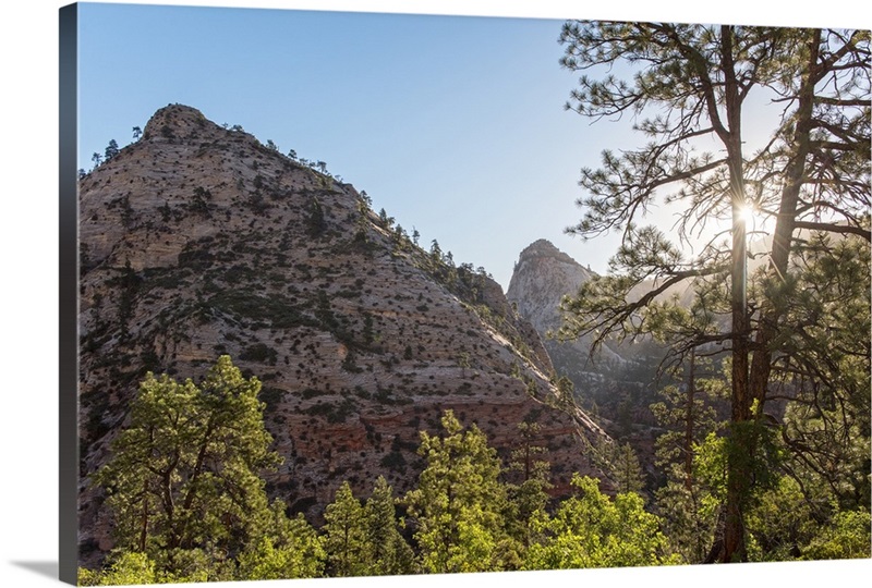 Zion National Park, UT Landscape Wall Art, Canvas Prints, Framed Prints, Wall Peels Great Big
