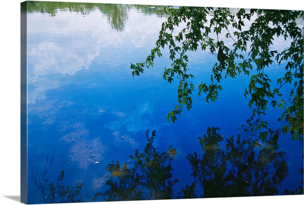 Clouds, blue sky and green maple leaves reflected in the James River.
