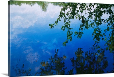 Clouds, blue sky and green maple leaves reflected in the James River
