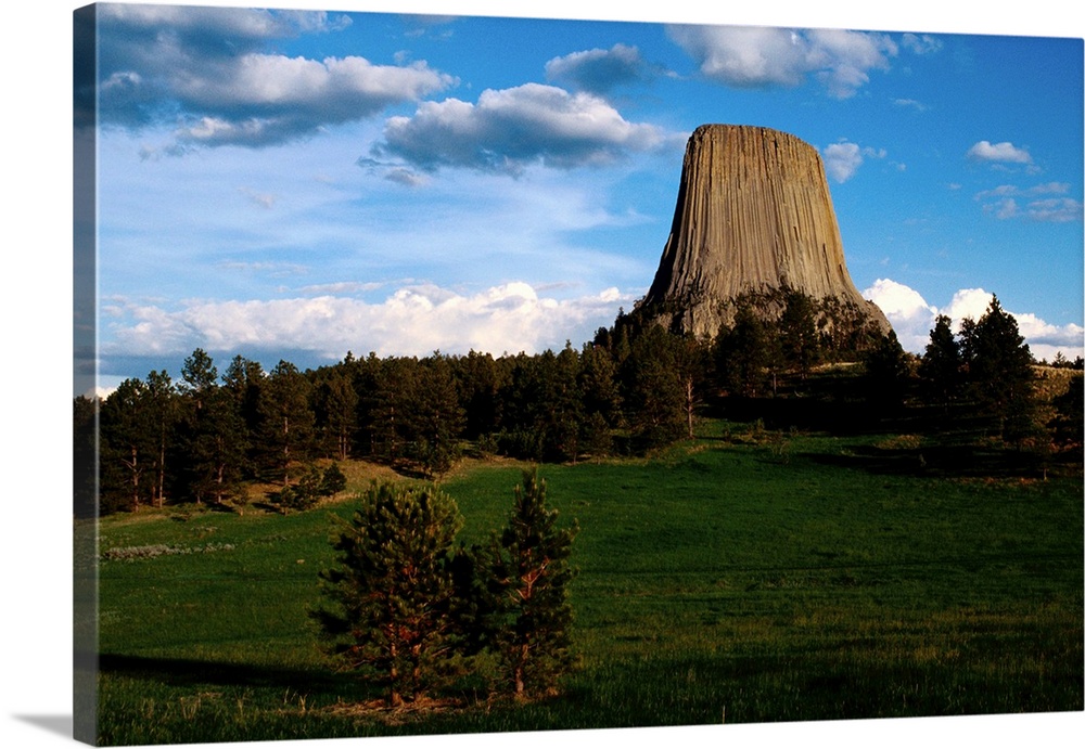 Distant view of Devil's Tower.