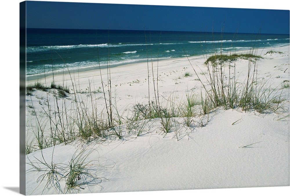 Dune grasses hold white sand in place along a stretch of beach.