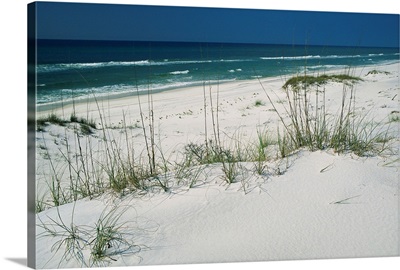 Dune grasses hold white sand in place along a stretch of beach