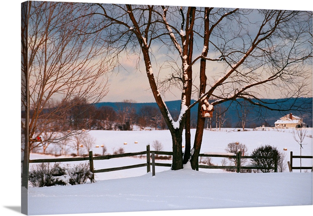 Pastoral view of a farm covered in snow.