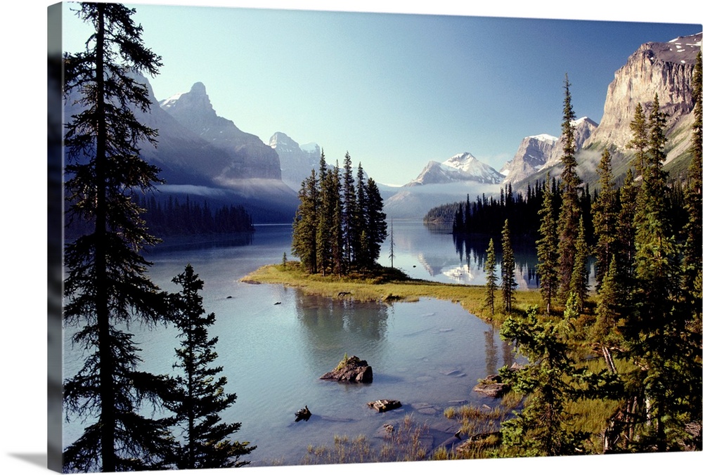 Large wall print of a forest of evergreens meeting and jutting out into a clear lake surrounded by rugged mountains.