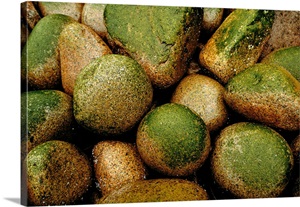 Monument Beach, Near Thunder Hole, Acadia National Park, Mount Desert Island, Maine image thumbnail