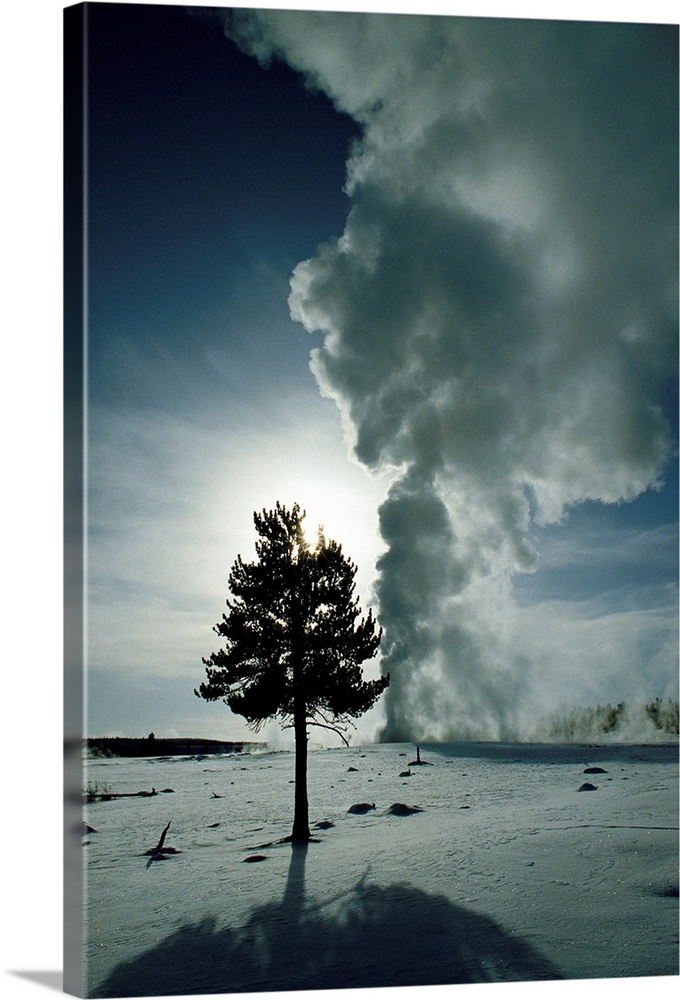 Large vertical piece of an active geyser during the winter. A single tree is silhouetted just in front of the geyser and t...