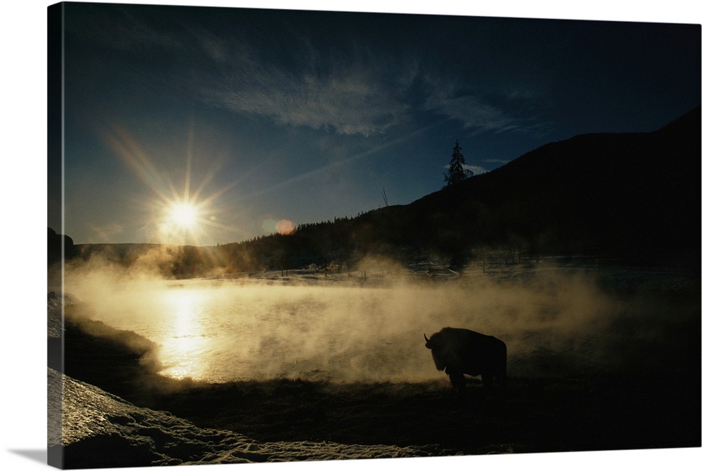 The sun sets over a silhouetted bison standing near a hotspring.