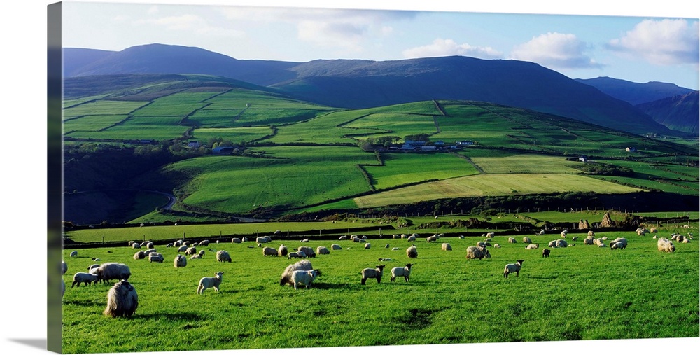 Anascual, Dingle Peninsula, County Kerry, Ireland