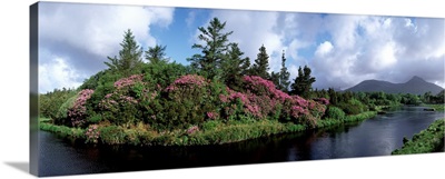 Ballynahinch, Connemara, Co Galway, Ireland