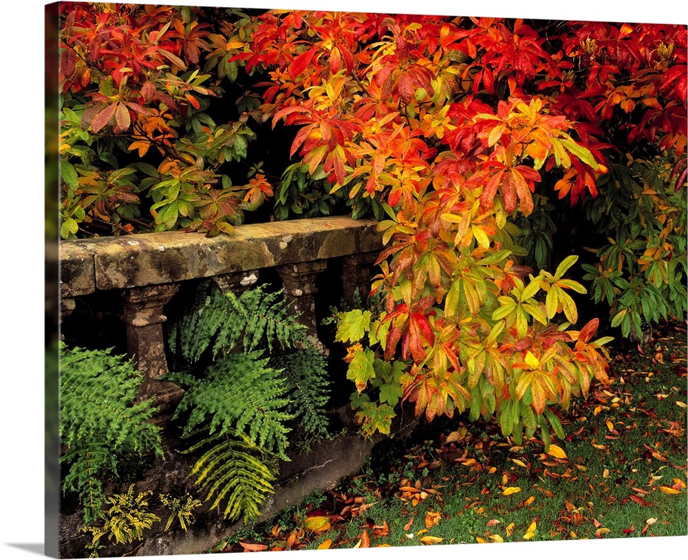 Balustrades and Autumn Colours, Castlewellan, Co Down, Ireland