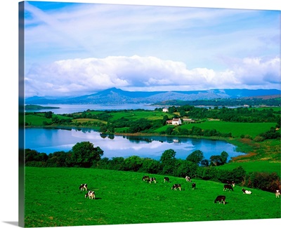 Bantry Bay, Co Cork, Ireland