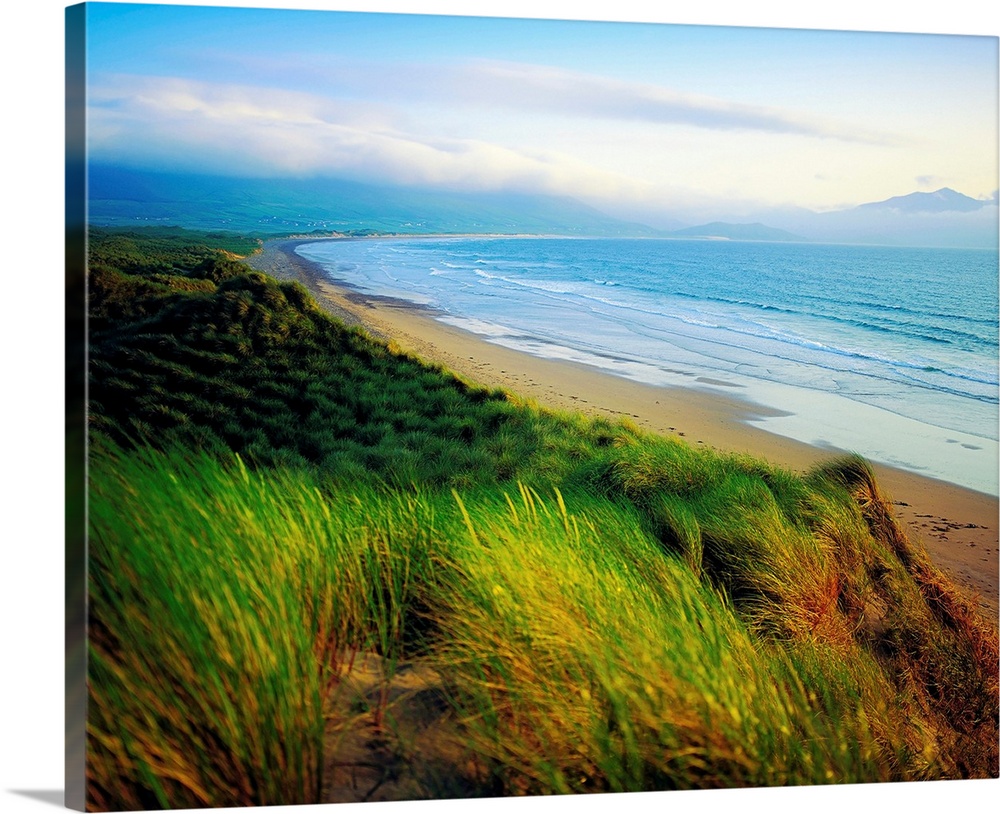 Castlegregory, Dingle Peninsula, County Kerry, Ireland