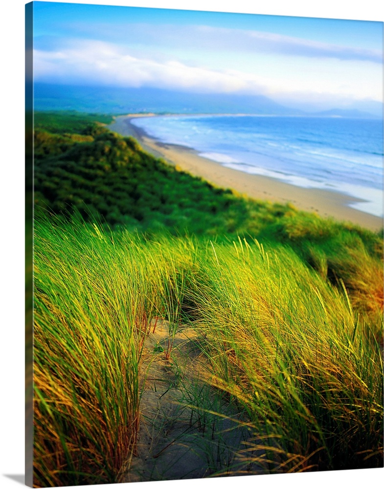 Castlegregory Sandunes, County Kerry, Ireland