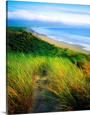 Castlegregory Sandunes, County Kerry, Ireland