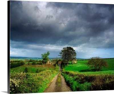 Co Armagh, Northern Ireland, Small Farm Near Whitecross