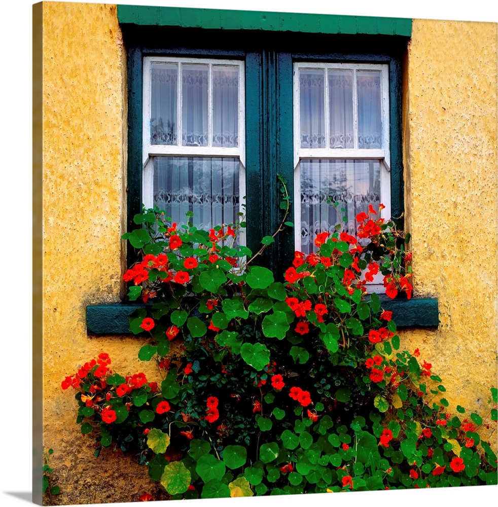 Cottage Window, County Antrim, Ireland