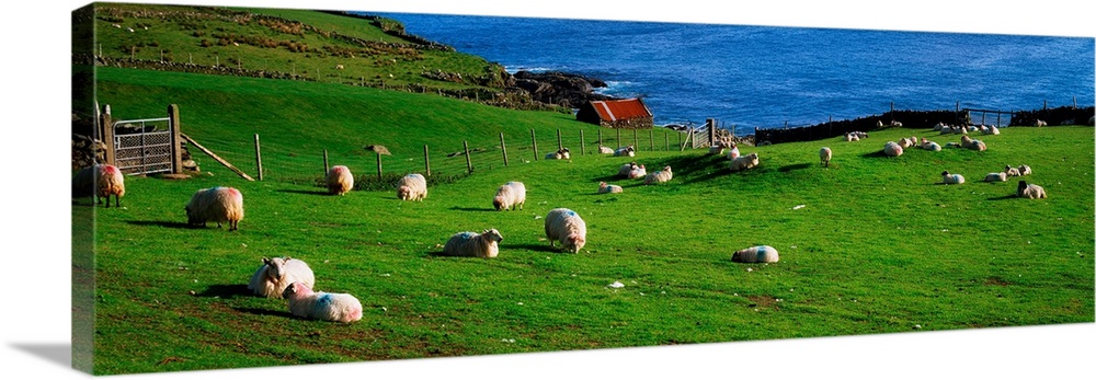 County Cork, Beara Peninsula