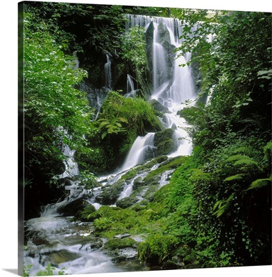 Crawfordsburn Country Park, Co Down, Ireland