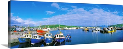 Dingle Town and Harbour, Co Kerry, Ireland