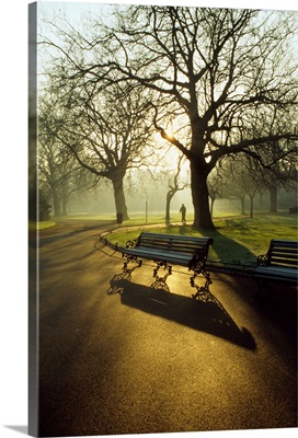 Dublin Parks, St. Stephens Green