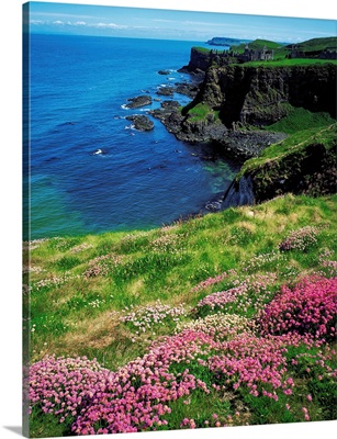 Dunluce Castle, County Antrim, Ireland image thumbnail