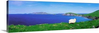 Dunmore Head, Blasket Islands, Dingle Peninsula, Co Kerry, Ireland