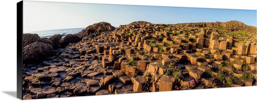 Giant's Causeway, Co Antrim, Ireland.
