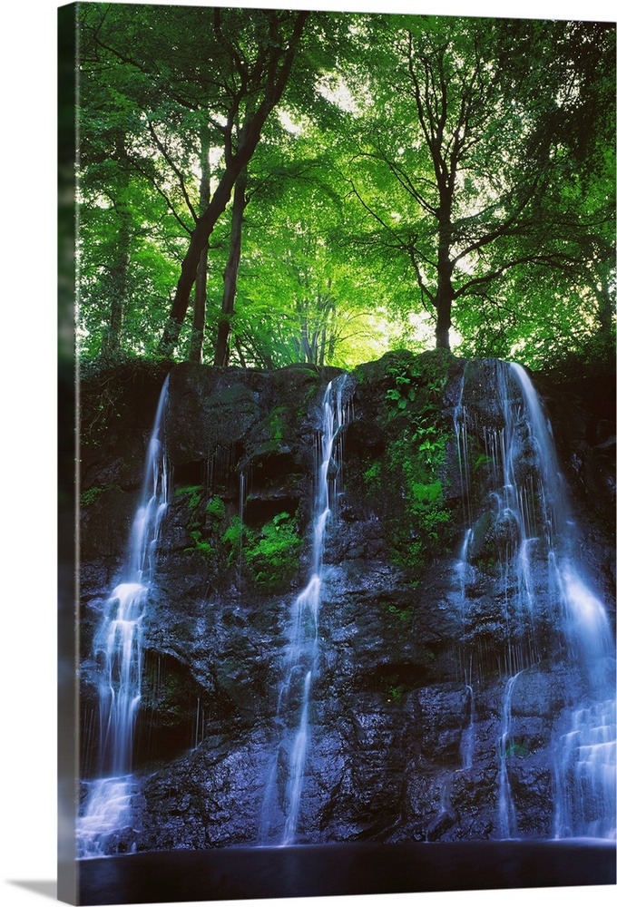 Glenariff Waterfall, Co Antrim, Ireland; Waterfall With Trees Above