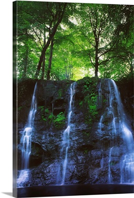 Glenariff Waterfall, Co Antrim, Ireland; Waterfall With Trees Above