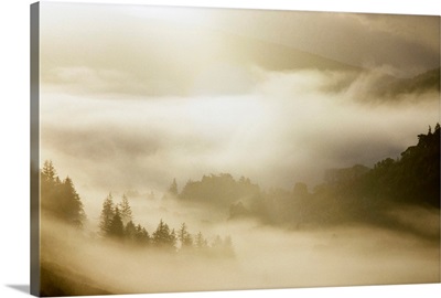 Glendalough, Co Wicklow, Ireland, Mist image thumbnail